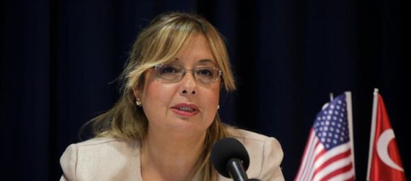 Cumhurbaşkanlığı Başdanışmanı Prof. Dr. Gülnur Aybet Cumhurbaşkanlığı Başdanışmanı Prof. Dr. Gülnur Aybet - Sputnik Türkiye