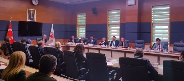 TBMM Dışileri Komisyonu - Sputnik Türkiye