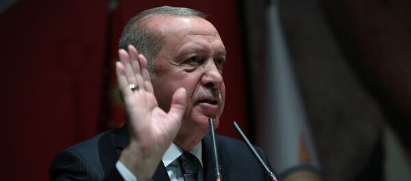 Recep Tayyip Erdoğan - tepkili - Sputnik Türkiye