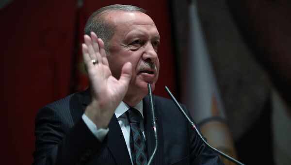 Recep Tayyip Erdoğan - tepkili - Sputnik Türkiye