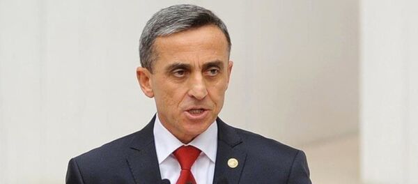 Şirin Ünal - Sputnik Türkiye