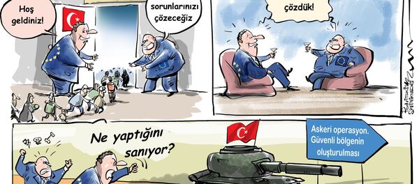 Karikatür - Sputnik Türkiye
