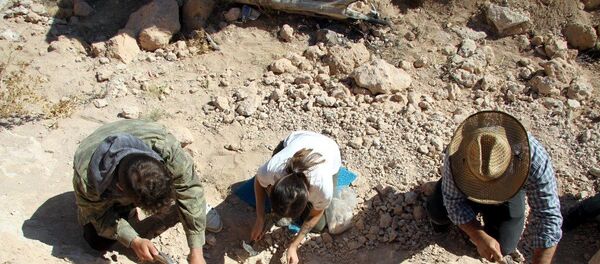 Kayseri'de 8 milyon yıllık yeni fosiller bulundu - Sputnik Türkiye