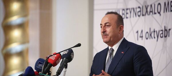 Dışişleri Bakanı Mevlüt Çavuşoğlu - Sputnik Türkiye