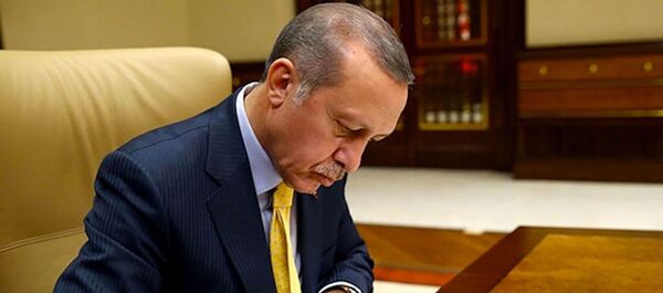 Recep Tayyip Erdoğan - Sputnik Türkiye