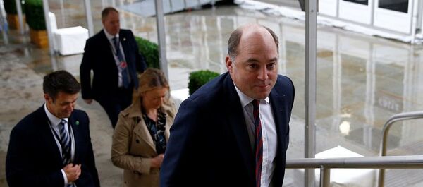 Ben Wallace - Sputnik Türkiye