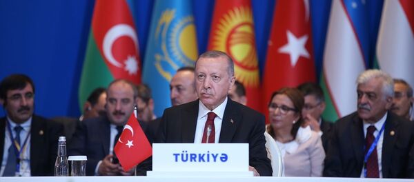 Recep Tayyip Erdoğan, Türk Dili Konuşan Ülkeler İş Birliği Konseyi  - Sputnik Türkiye