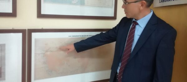 Gazi Üniversitesi Deprem Mühendisliği Uygulama ve Araştırma Merkezi’nden Doç. Dr. Bülent Özmen - Sputnik Türkiye