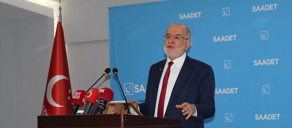 Temel Karamollaoğlu - Sputnik Türkiye