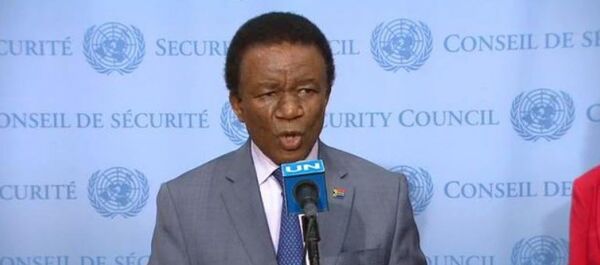 Jerry Matthews Matjila - Sputnik Türkiye