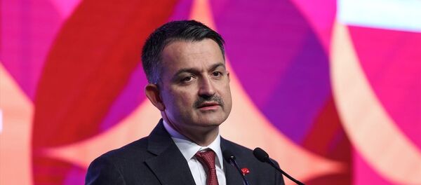 Bekir Pakdemirli - Sputnik Türkiye