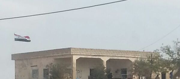 Suriye Ordusu Kobani'de sınır kapısında Suriye bayrağını astı - Sputnik Türkiye