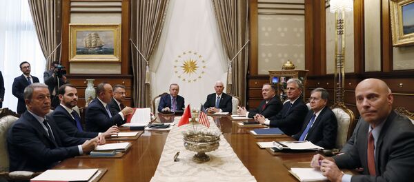 ABD ve Türkiye arasındaki Barış pınarı Harekatı görüşmesi - Sputnik Türkiye