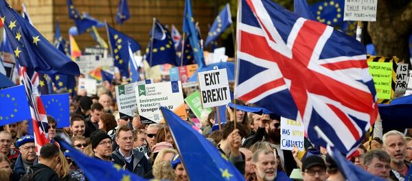 Londra'da Brexit karşıtı yürüyüş - Sputnik Türkiye