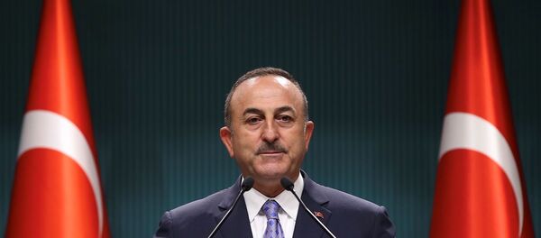Mevlüt Çavuşoğlu - Sputnik Türkiye