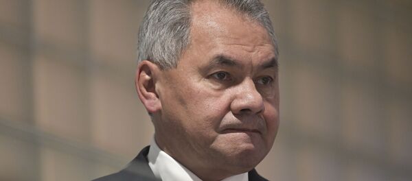 Rusya Savunma Bakanı Sergey Şoygu - Sputnik Türkiye