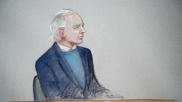 WikiLeaks kurucusu Julian Assange, Westminster İlk Derece Mahkemesi’nde hâkim karşısına çıktı. - Sputnik Türkiye