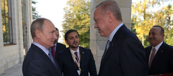 Vladimir Putin - Recep Tayyip Erdoğan - Sputnik Türkiye