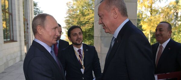 Erdoğan ile Putin'in Soçi'deki görüşmesinden kareler - Sputnik Türkiye
