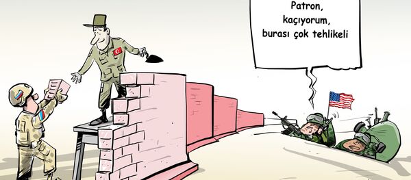 Karikatür - Sputnik Türkiye