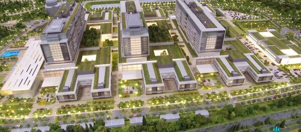 İstanbul Şehir Hastanesi - Sputnik Türkiye