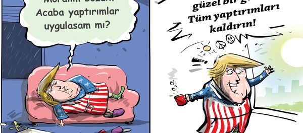 Karikatür - Sputnik Türkiye