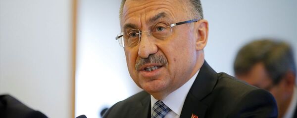 Fuat Oktay - Sputnik Türkiye