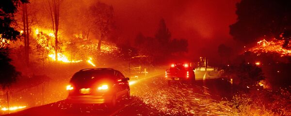 Kaliforniya, yangın - Sputnik Türkiye