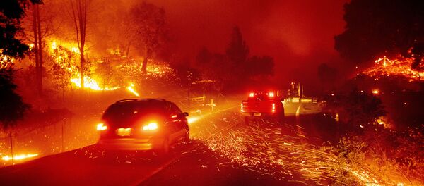 Kaliforniya, yangın - Sputnik Türkiye