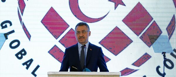 Fuat Oktay - Sputnik Türkiye