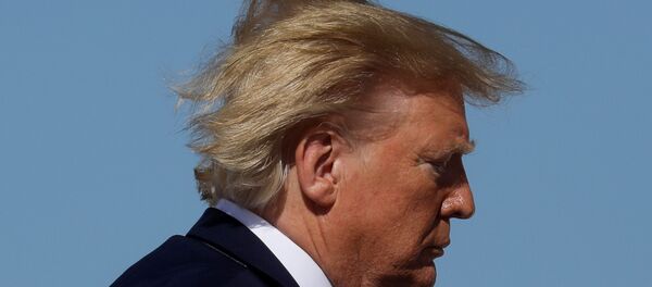 Donald Trump - Sputnik Türkiye