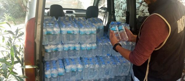 sahte rakılar - Sputnik Türkiye