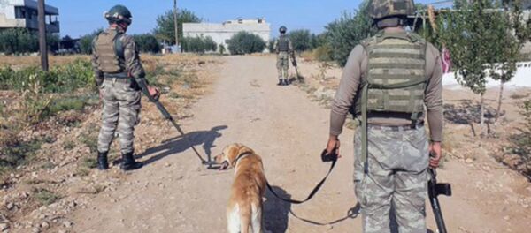 Barış Pınarı Harekatı bölgesindeki Türk askerler - Sputnik Türkiye