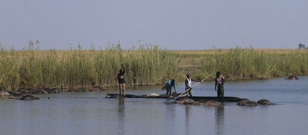 Botswana - Sputnik Türkiye