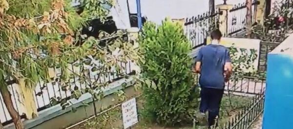 İzmir, yavru kedi, tekmeleme - Sputnik Türkiye