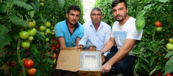 Canan Karatay'a tepki gösteren domates üreticileri - Sputnik Türkiye