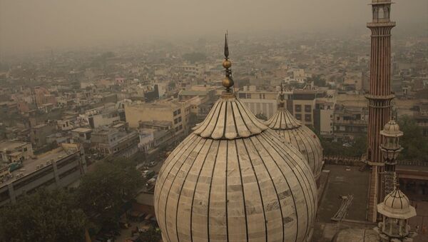 Hindistan'ın başkenti Yeni Delhi'de hava kirliliği - Sputnik Türkiye