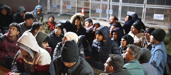 Edirne'de, Yunanistan'ın darbedip Türkiye'ye zorla gönderdiği ileri sürülen 252 sığınmacı yakalandı.  - Sputnik Türkiye
