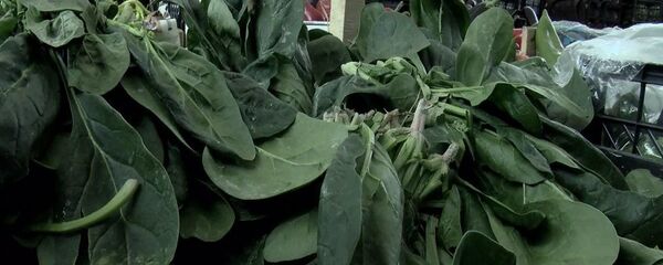 ıspanak - Sputnik Türkiye