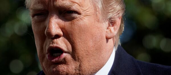 Donald Trump - Sputnik Türkiye
