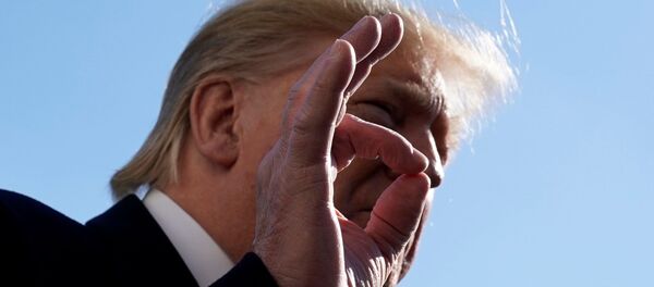 Donald Trump - Sputnik Türkiye