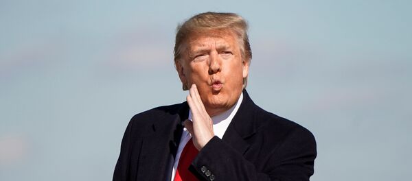 Donald Trump - Sputnik Türkiye