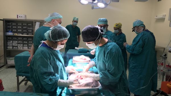 Malatya İnönü Üniversitesi Turgut Özal Tıp Merkezi’nde her yıl 300 civarında karaciğer naklinin yanısıra böbrek, ince bağırsak ve pankreas nakli de yapılıyor. - Sputnik Türkiye