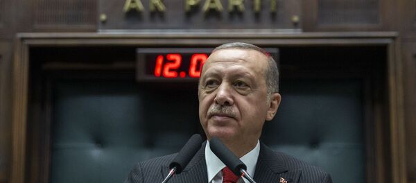 Recep Tayyip Erdoğan Recep Tayyip Erdoğan - Sputnik Türkiye