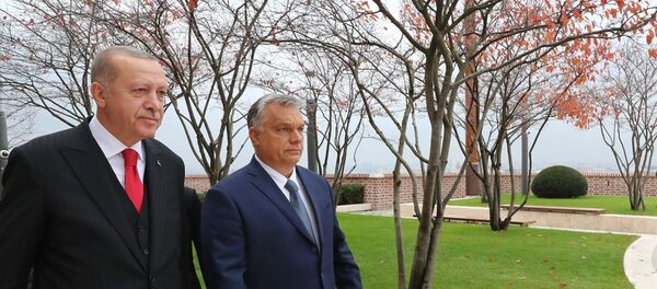Erdoğan - Orban - Sputnik Türkiye