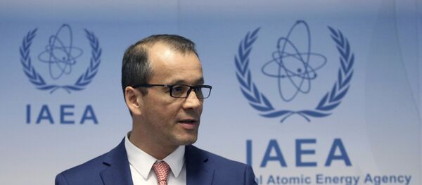 Uluslararası Atom Enerjisi Ajansı (UAEA) geçici Başkanı Cornel Feruta - Sputnik Türkiye