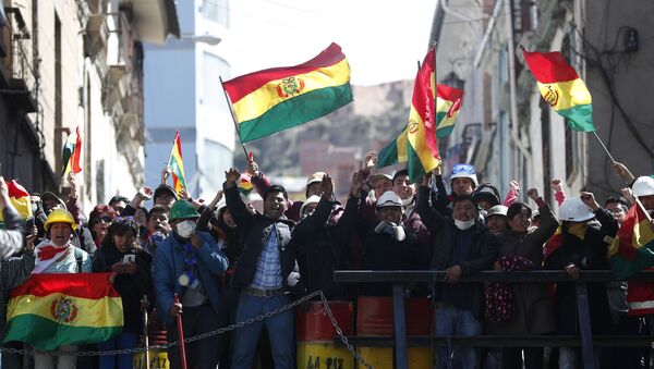 Bolivya hükümet karşıtı eylemler - Sputnik Türkiye