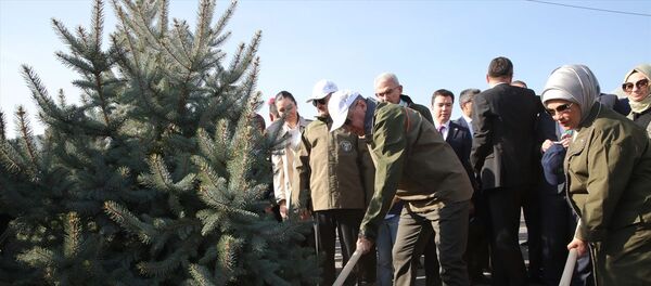 Recep Tayyip Erdoğan - Sputnik Türkiye