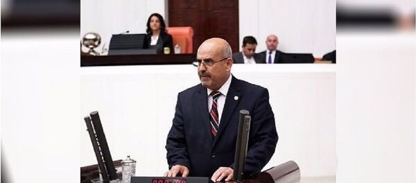 İmran Kılıç - Sputnik Türkiye