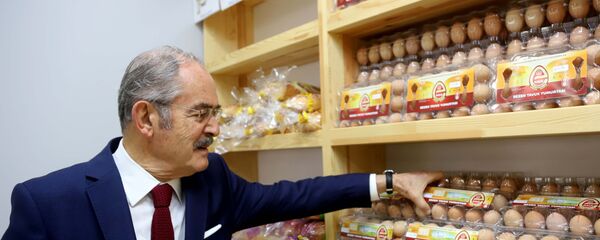 Yılmaz Büyükerşen - Sputnik Türkiye